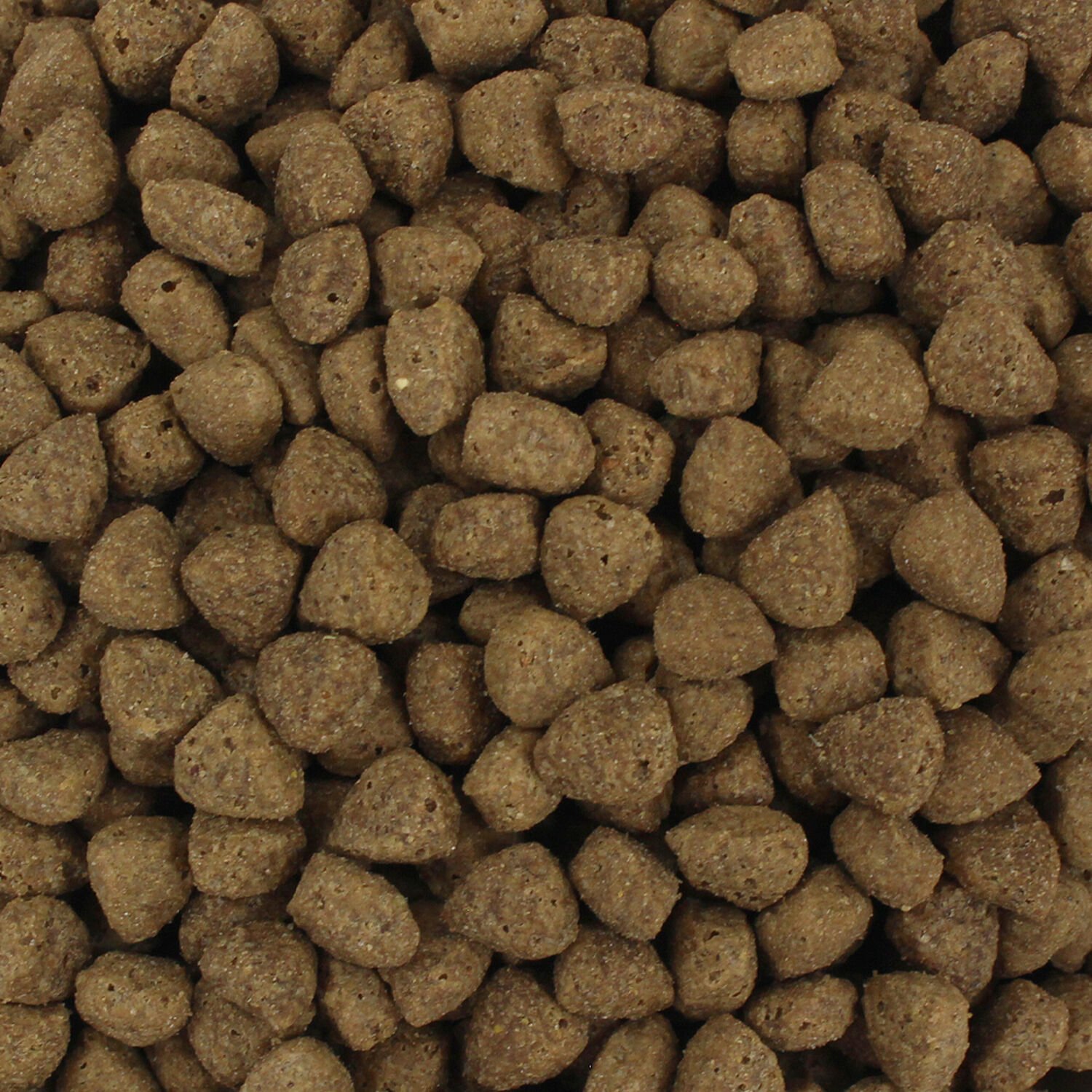 암브로시아 캣 칠면조&청어 5kg - 유통기한 2025.10