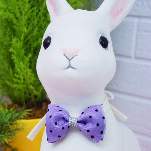 문펫 러블리 미니 리본타이