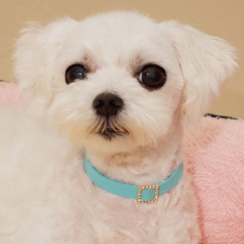 문펫 러블리 큐빅 목걸이