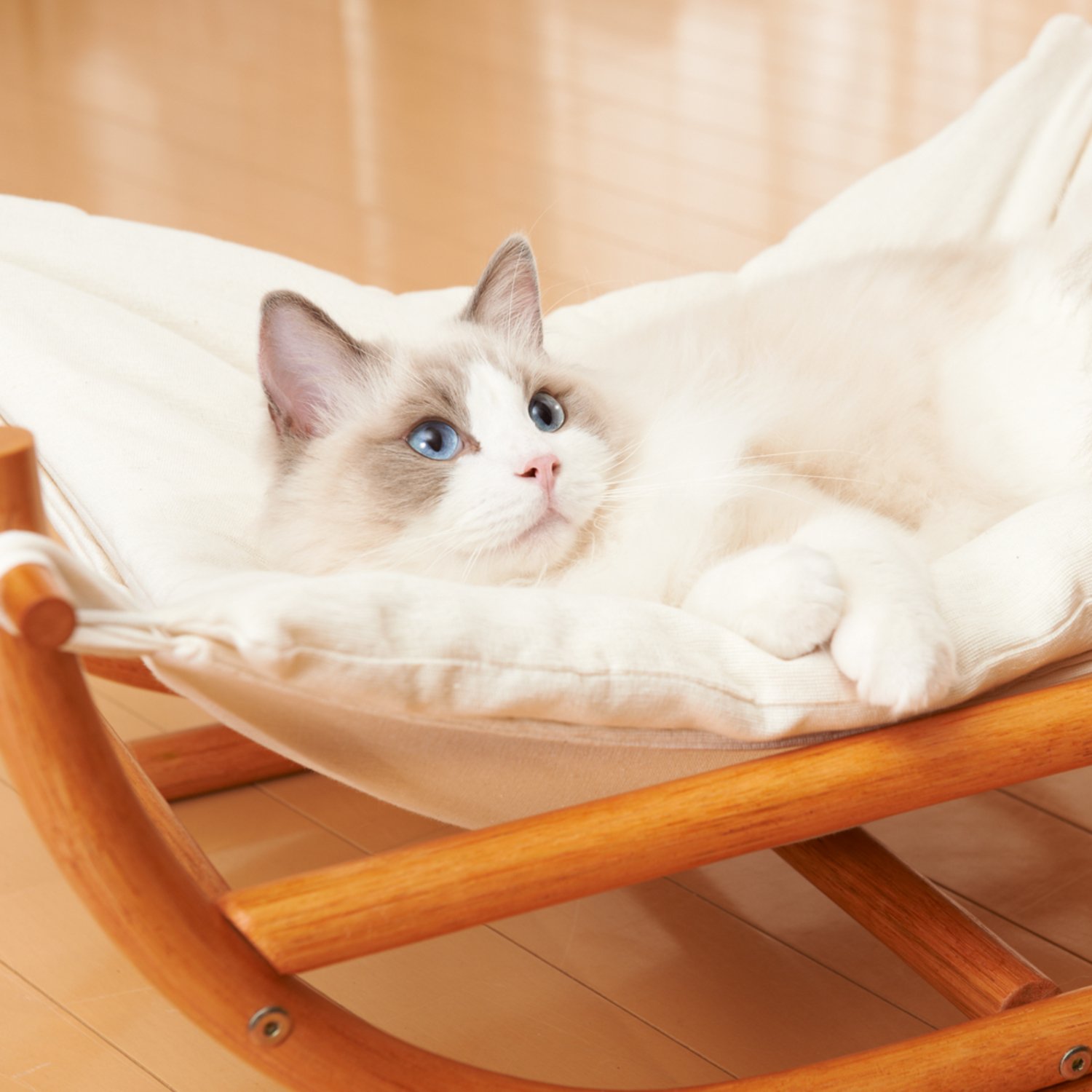 네코세카이 라탄 캣 해먹 카멜