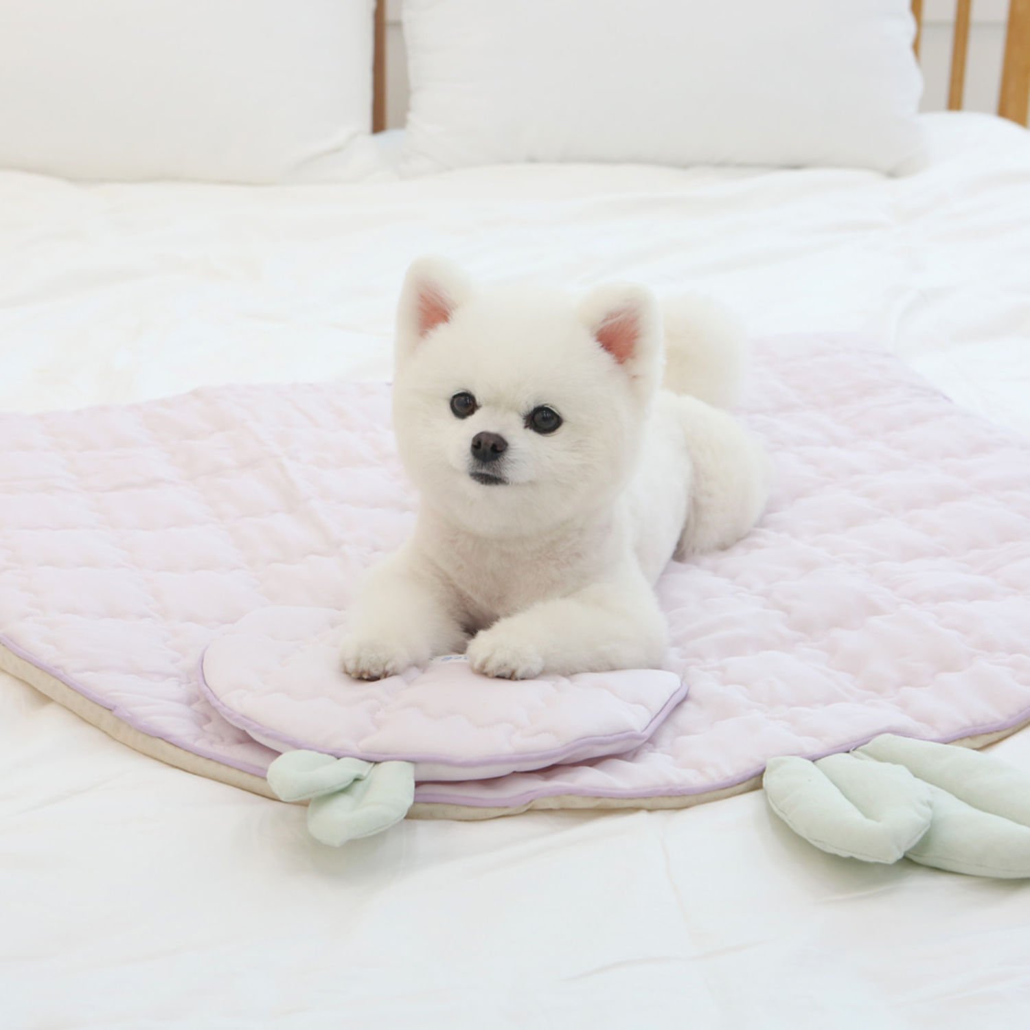 이츠독 인견 쿨링 매트 포도 M