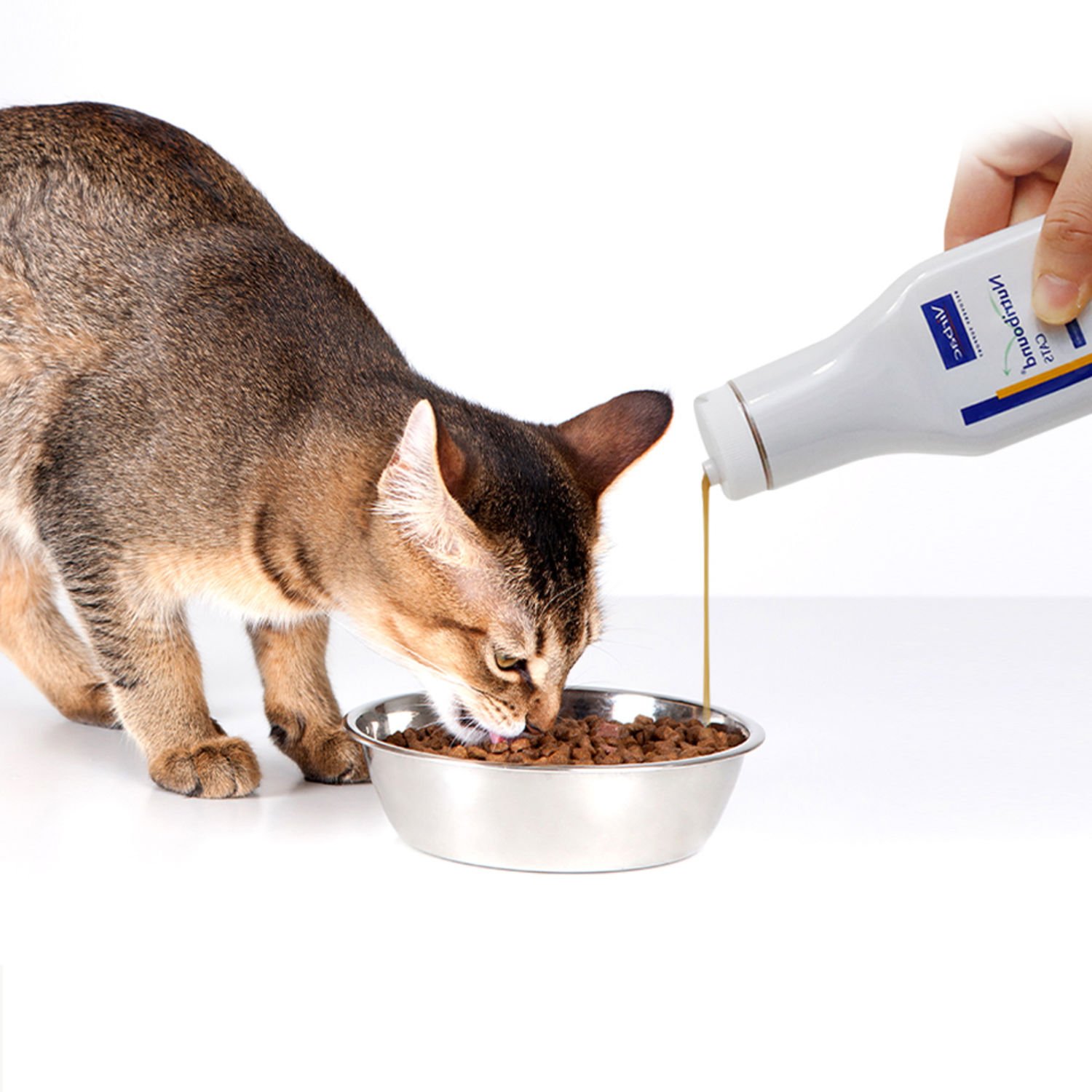 버박 뉴트리바운드 캣 면역력 강화 종합영양제