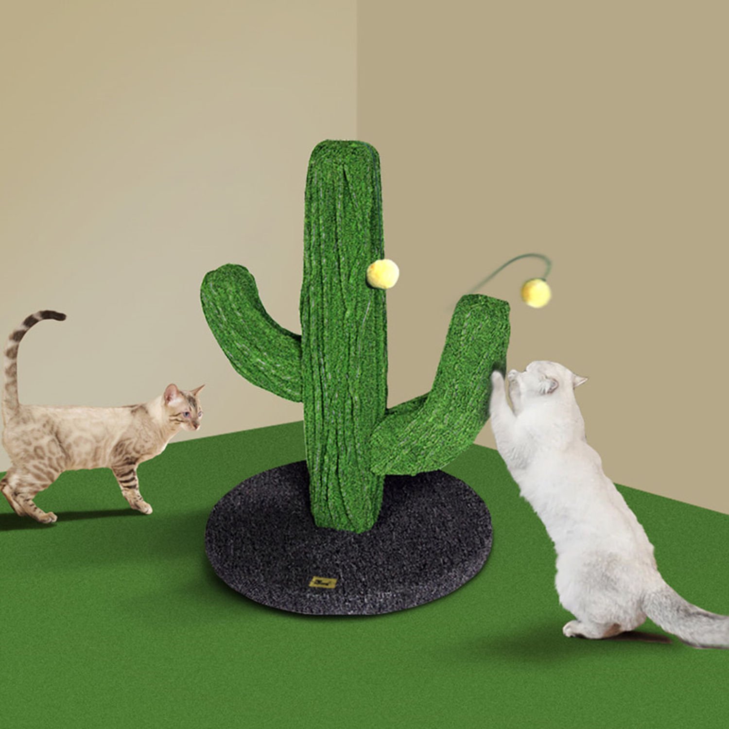 펫모닝 아이엠 선인장 미니 스크래쳐 PMC-6533