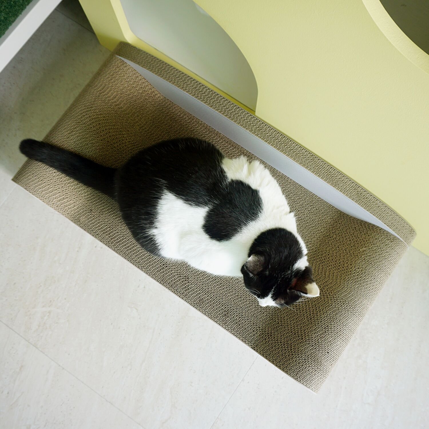 오케이펫코리아 고양이 스크래쳐 700RWD 2개 세트