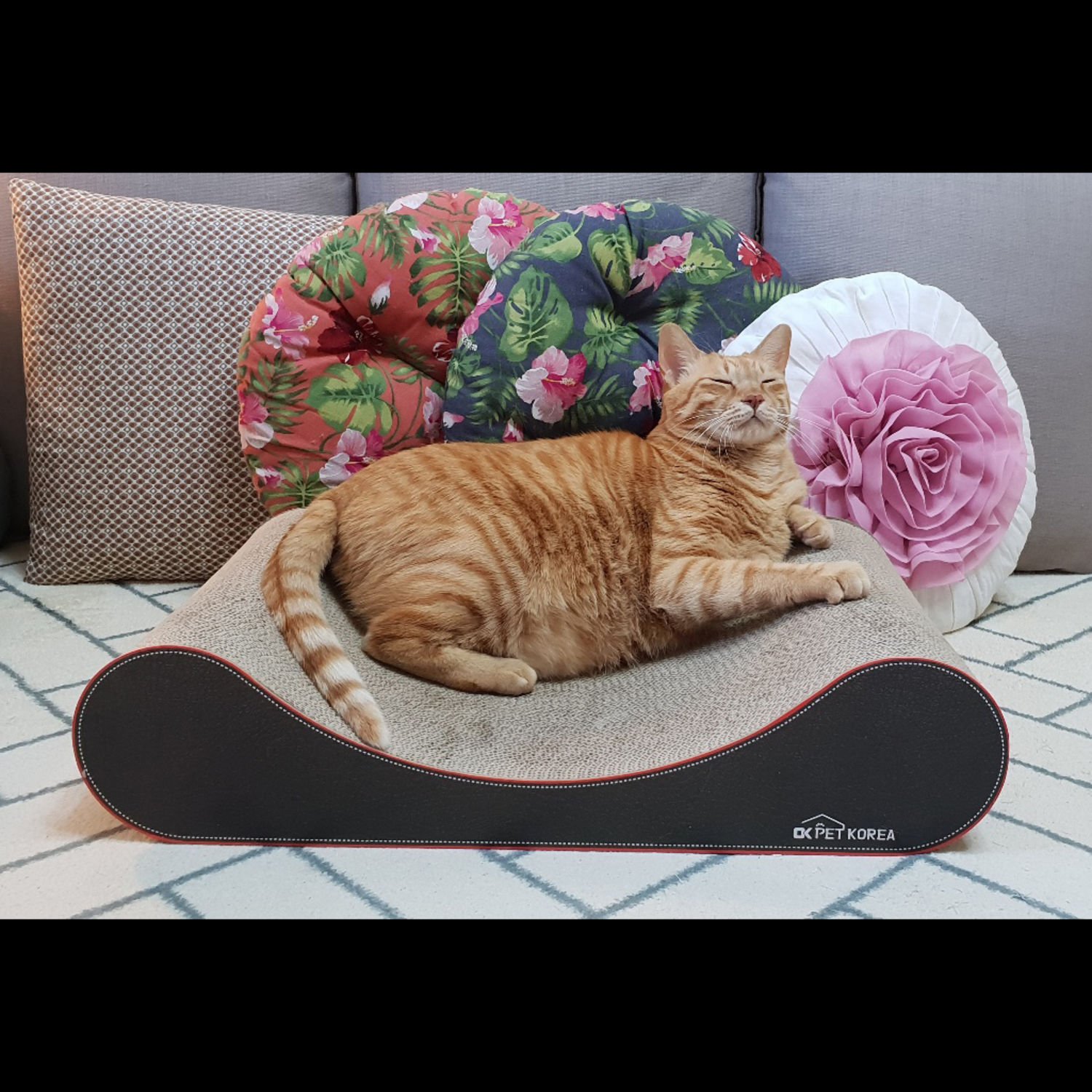 오케이펫코리아 스크래쳐 Pillow 2개 세트