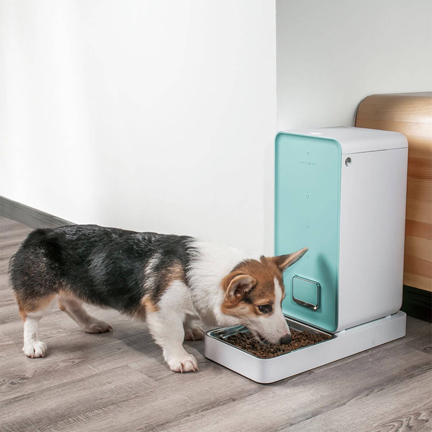 펫킷 프레쉬 엘리먼트 자동급식기