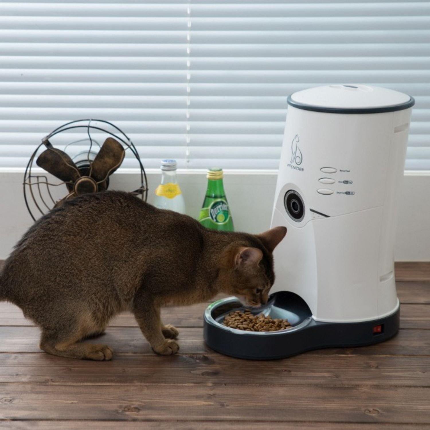 펫스테이션 자동급식기 cam