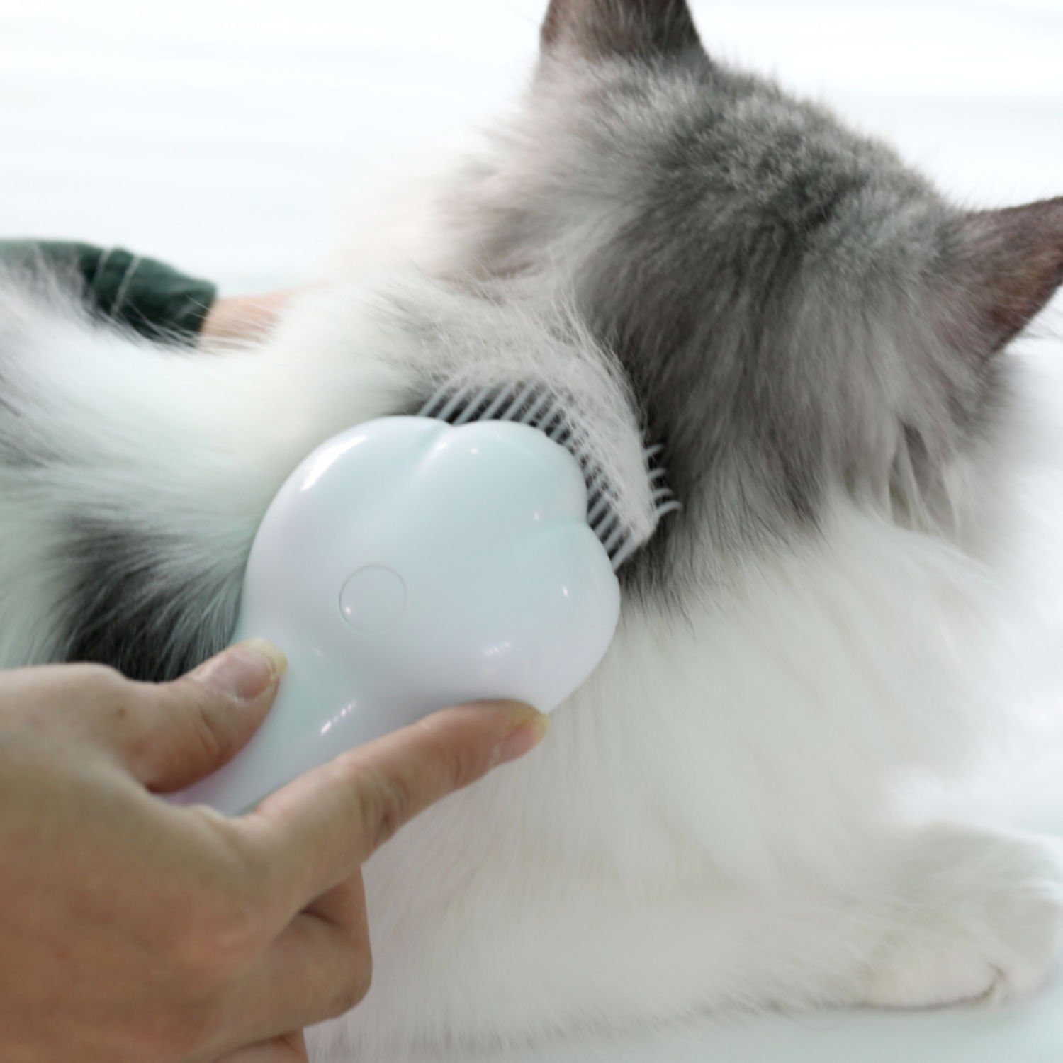 펫케어 레이저 빗 장난감