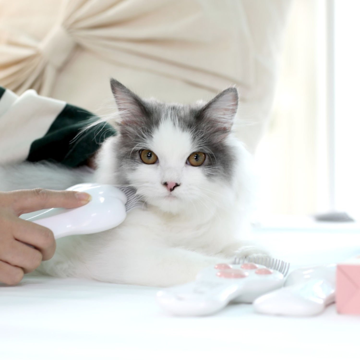 펫케어 레이저 빗 장난감