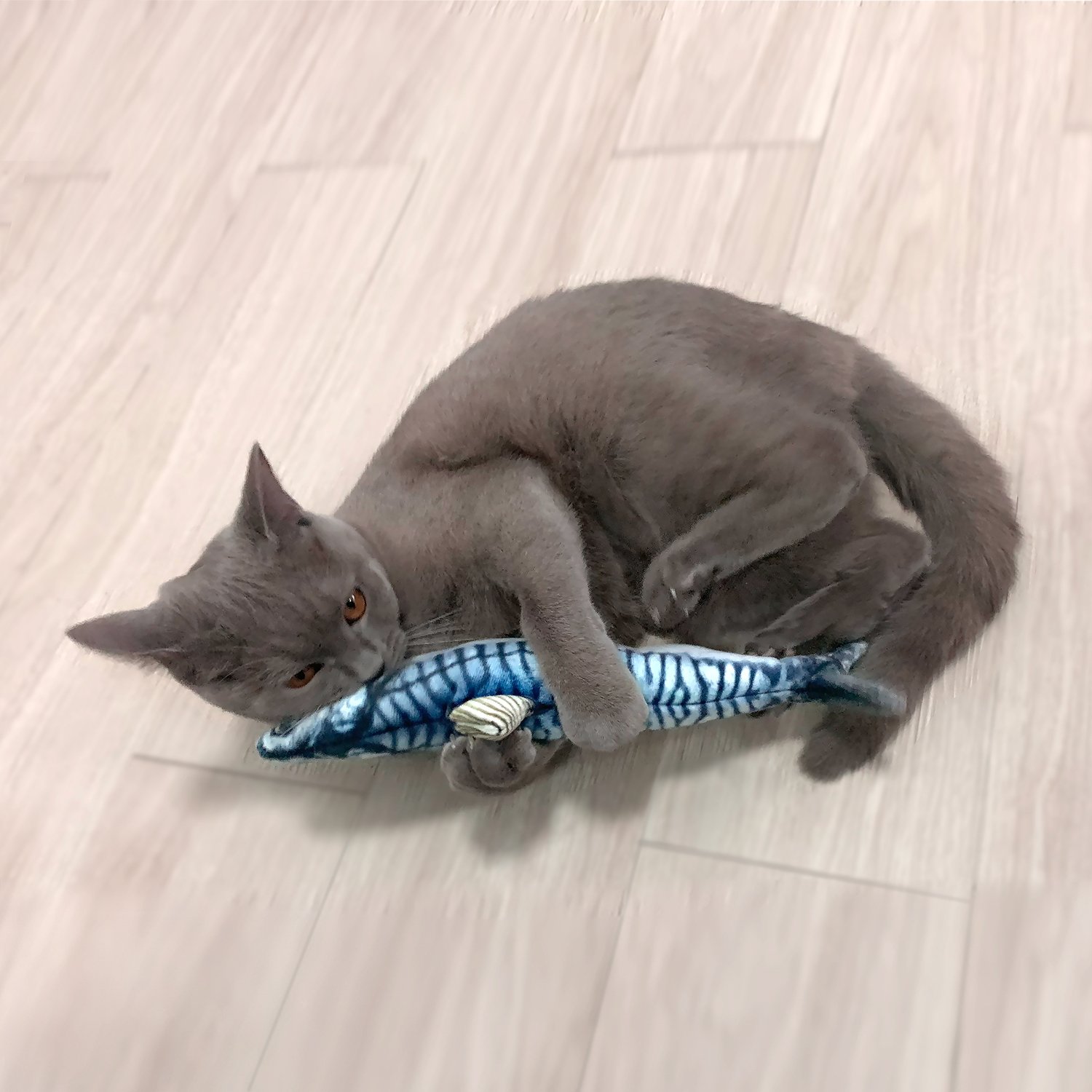 펫케어 춤추는 생선 고등어 장난감