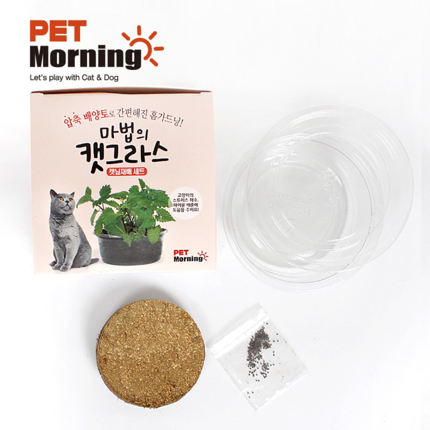 펫모닝 마법의 캣그라스 캣닢 재배세트 투명화분