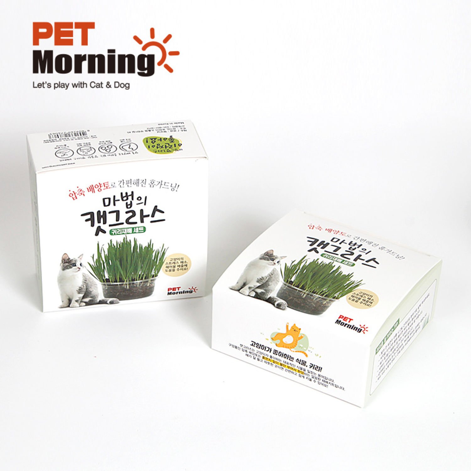 펫모닝 마법의 캣그라스 귀리 재배세트 투명화분