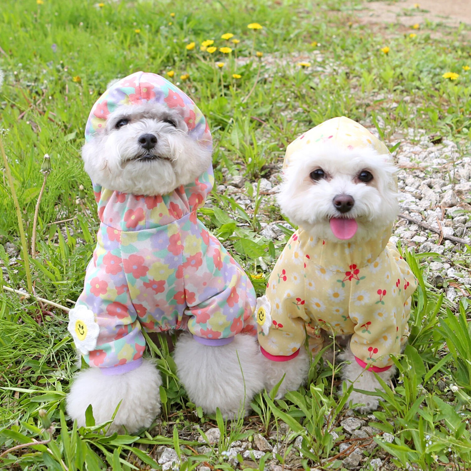 이츠독 플라워 버그가드 올인원 옐로우 S